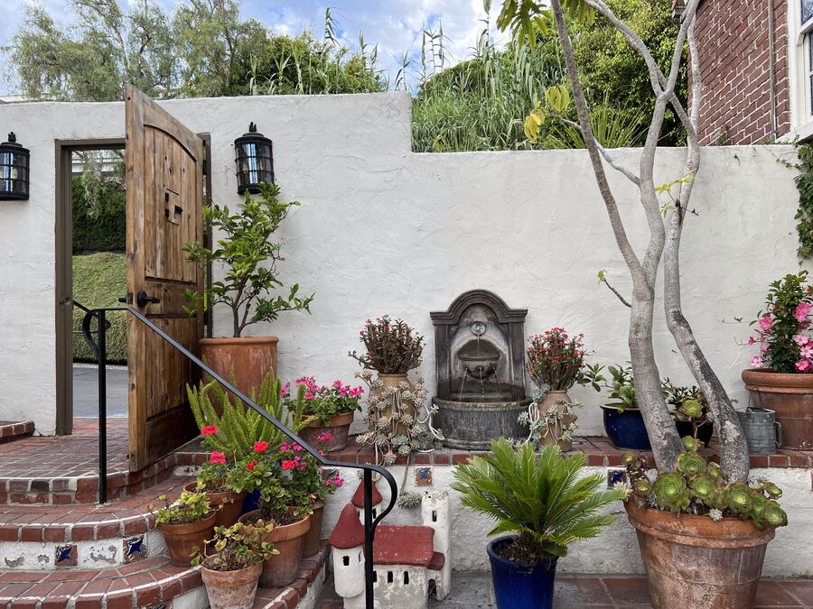 Patio de una casa en Medellín con muro encalado y vegetación